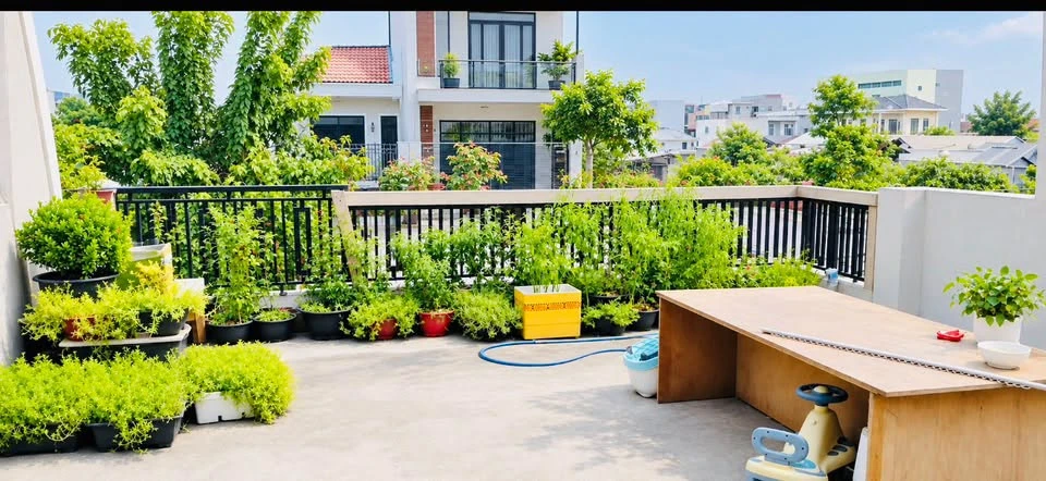 Bán nhà mặt tiền 181.5m² gần An Phú, Thủ Đức - Ảnh thu nhỏ 3