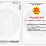 Bán đất đấu giá, sổ đỏ chính chủ DT gần 250m2 - Ảnh thu nhỏ 1