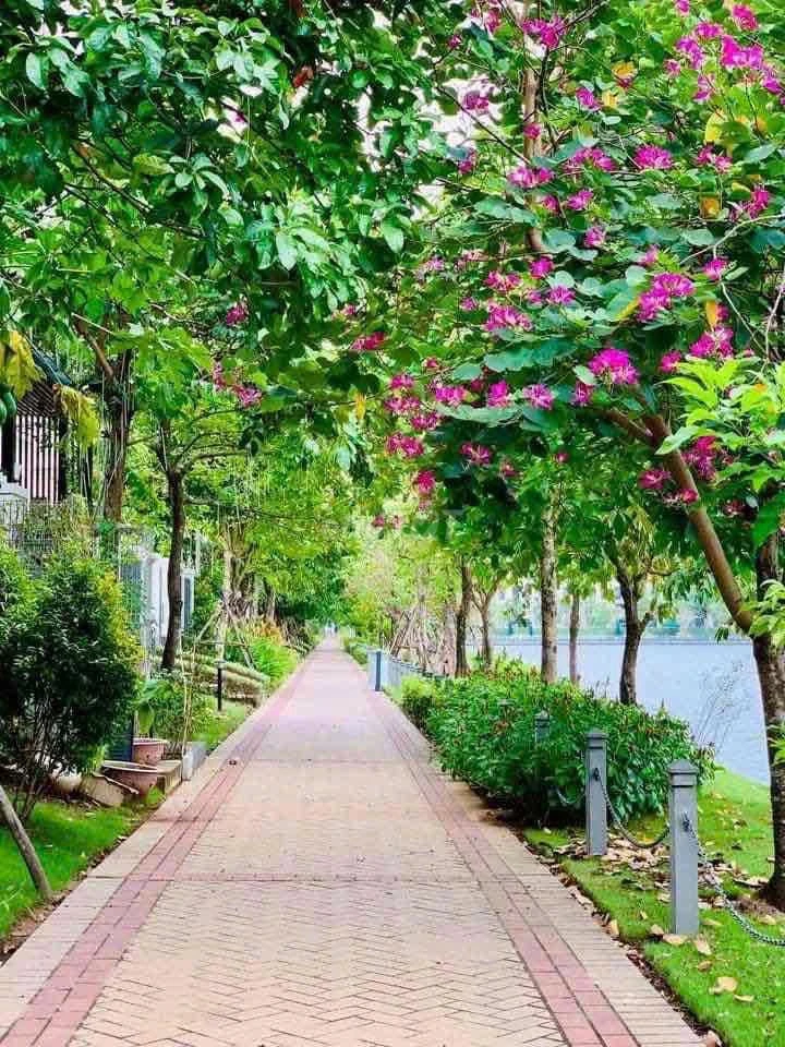 Bán lô đất biệt thự view hồ Thủ Đức 234.7m2, 13.5 tỷ - Ảnh thu nhỏ 2