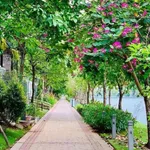 Bán lô đất biệt thự view hồ Thủ Đức 234.7m2, 13.5 tỷ - Ảnh thu nhỏ 2