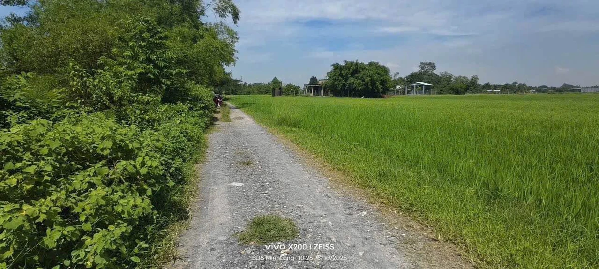 Bán đất 27x35 (945m²) gần Vinhomes, giá 2.2 tỷ - Ảnh thu nhỏ 2