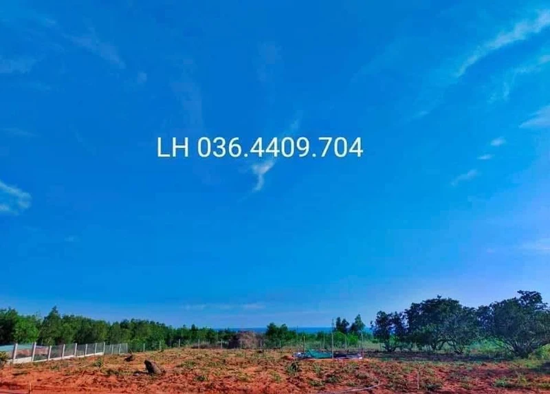 Bán đất Thiện Nghiệp 1000m2 (10x100) - 2.5 tỷ