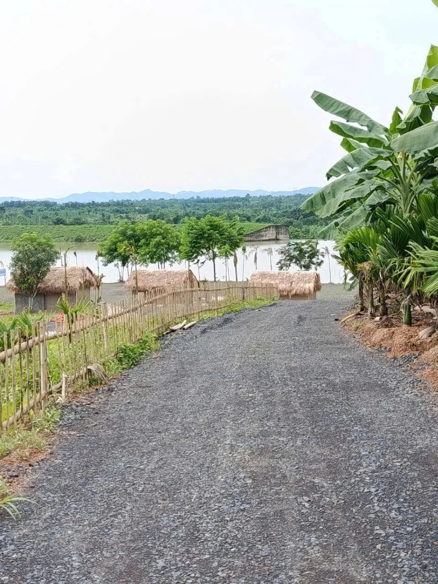 Bán đất farm view sông Sêrêpôk 5000m2 tại Hòa Phú, Buôn Ma Thuột, Đắk Lắk - Ảnh thu nhỏ 2