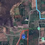 Bán đất nông nghiệp 1,5 hectare Gia Lai 4 tỷ - Ảnh thu nhỏ 2