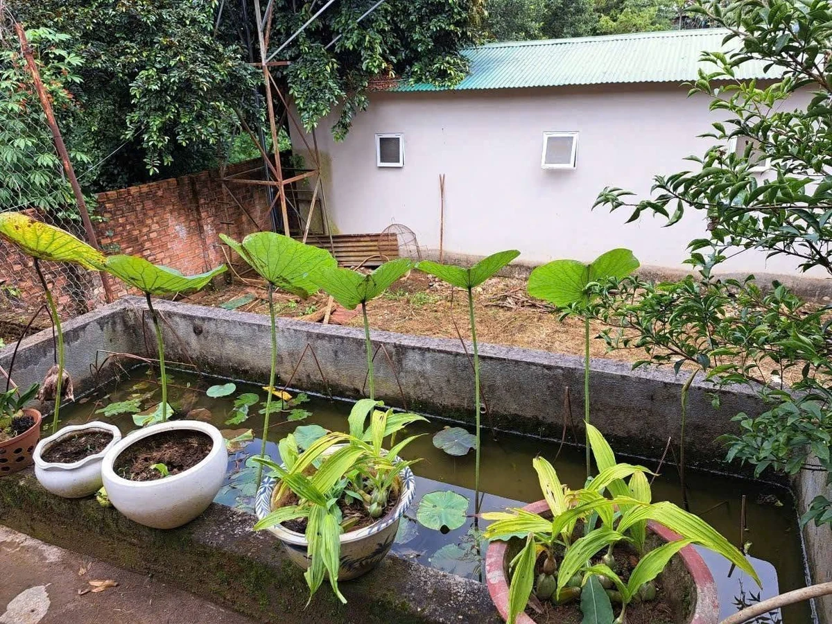 Bán nhà 260m² Phường 2 Bảo Lộc Lâm Đồng 7,5 tỷ - Ảnh thu nhỏ 4