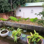 Bán nhà 260m² Phường 2 Bảo Lộc Lâm Đồng 7,5 tỷ - Ảnh thu nhỏ 4