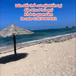Bán đất mặt biển Phú Quý 227,7m² sổ hồng, 26tr/m² - Ảnh thu nhỏ 1