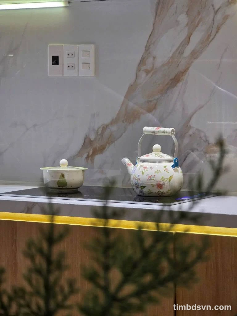 Bán nhà mặt tiền Thanh Khê 255m² có hồ bơi, Đà Nẵng - Ảnh thu nhỏ 3