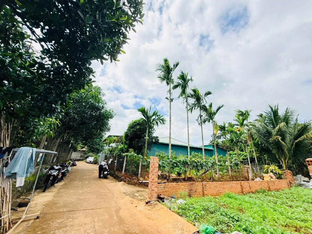 Bán đất 300m² Ngô Chí Quốc, Tân Lập, Bình Chánh - Ảnh 1