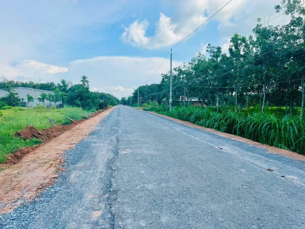 Bán đất đường nhựa 161m² Bến Cầu Tây Ninh 299 triệu - Ảnh thu nhỏ 4