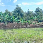 Bán nhà vườn Dầu Giây 1000m2 với vườn cây ăn trái - Ảnh thu nhỏ 3