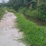 Bán nền đất 150m² giá 290 triệu Long Tuyền Cần Thơ - Ảnh thu nhỏ 1