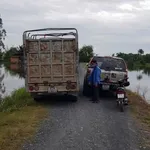 Bán đất thổ cư 628 m² mặt tiền Đức Huệ, Long An - Ảnh thu nhỏ 4