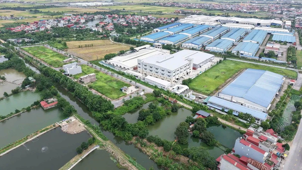 Bán đất nền 85,5m² Thanh Miện Hải Dương giá khoảng 1 tỷ - Ảnh thu nhỏ 2