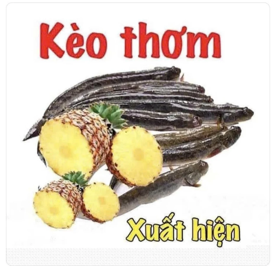 Bán nhà 114m² Phường Phú Tân, 879 triệu - Ảnh 1