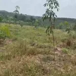 Bán đất An Phú, Hóc Môn, 200m², 1 tỷ 2 - Ảnh thu nhỏ 1