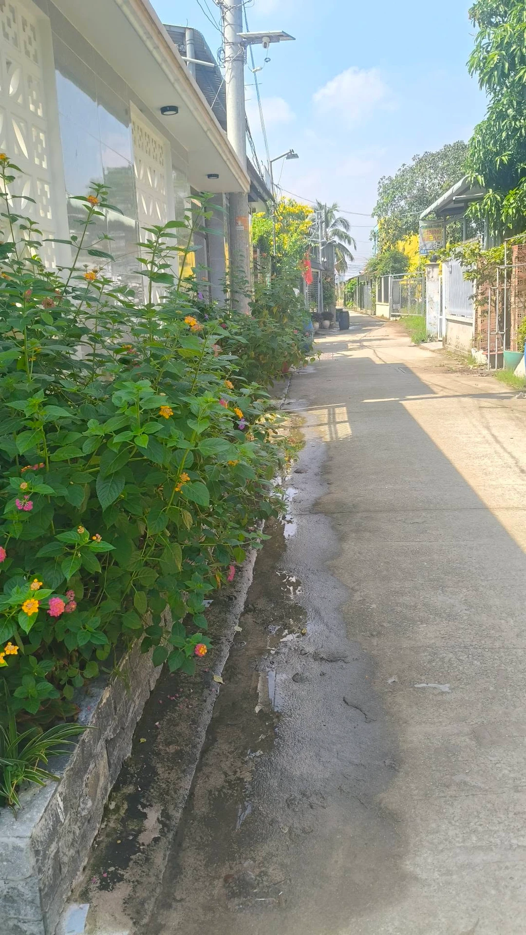 Bán nhà sân vươn Thuận An Bình Dương 1000m² 15 tỷ - Ảnh 1