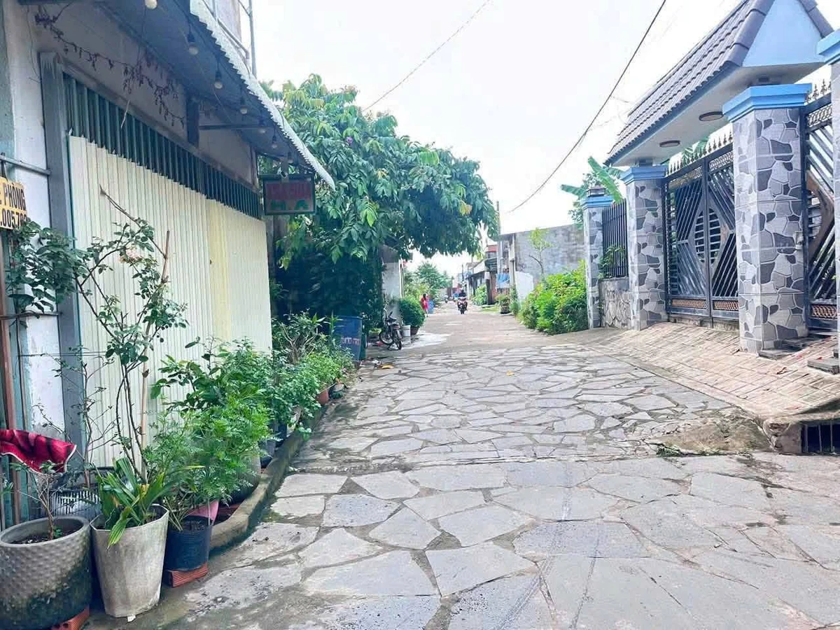 Bán dãy trọ 11 phòng 209m2 Sông Trầu Bình Dương - Ảnh 1