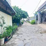 Bán dãy trọ 11 phòng 209m2 Sông Trầu Bình Dương - Ảnh thu nhỏ 1