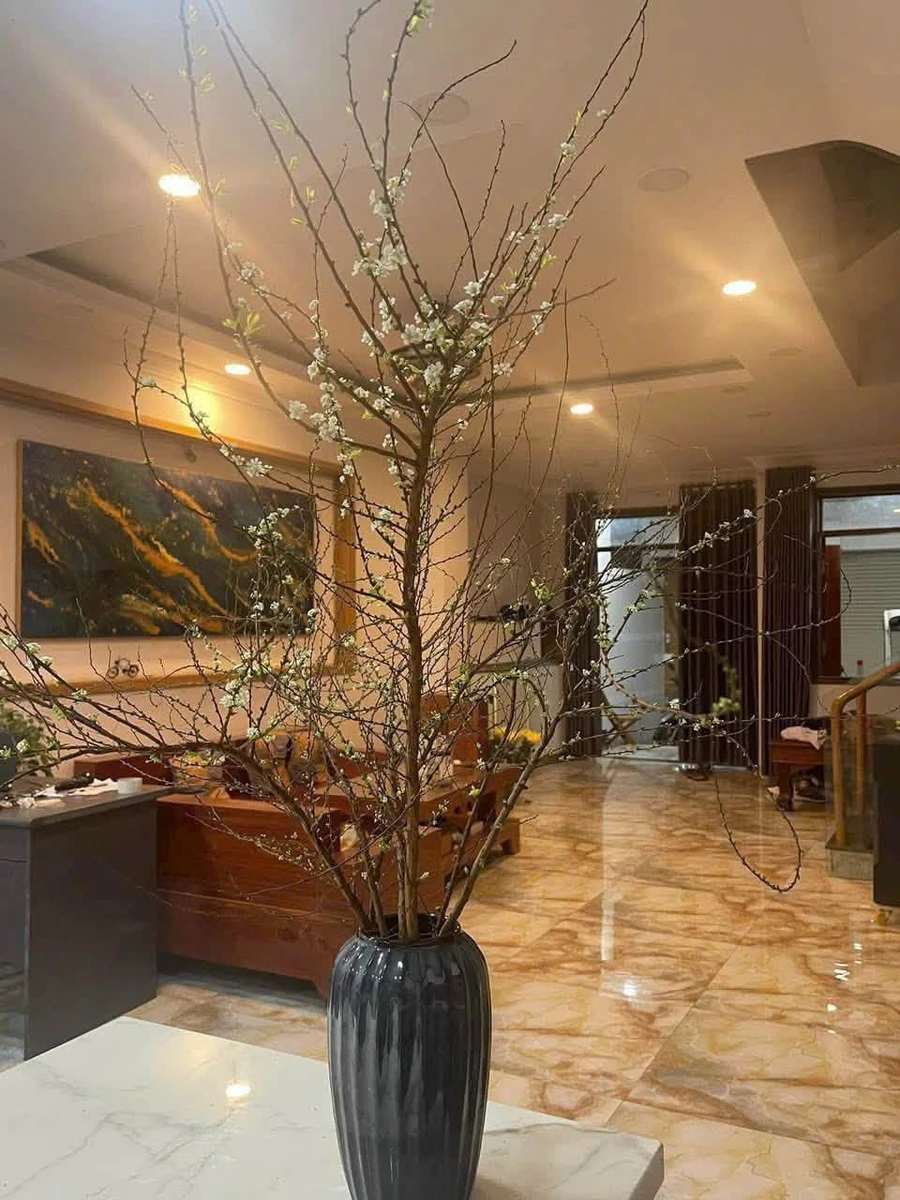 Bán nhà liền kề full nội thất 4PN 313m² Thủ Đức 15,5 tỷ - Ảnh thu nhỏ 2