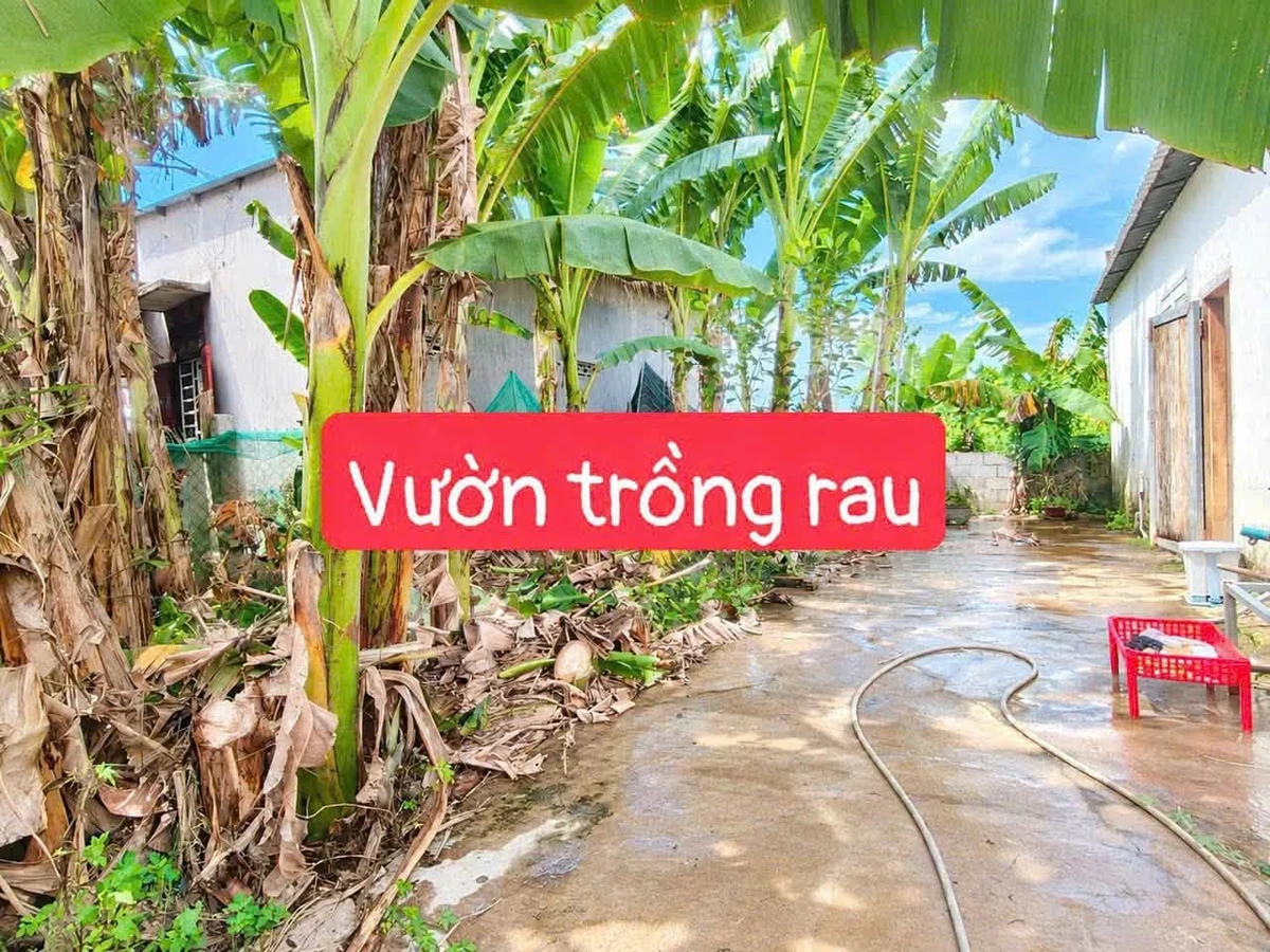 Bán nhà cấp 4 334m² Diên Khánh 2,399 tỷ - Ảnh 1