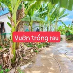 Bán nhà cấp 4 334m² Diên Khánh 2,399 tỷ - Ảnh thu nhỏ 1
