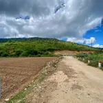 Bán đất 3200m2 view suối tại Hiệp Thạnh, Lâm Đồng - Ảnh thu nhỏ 2