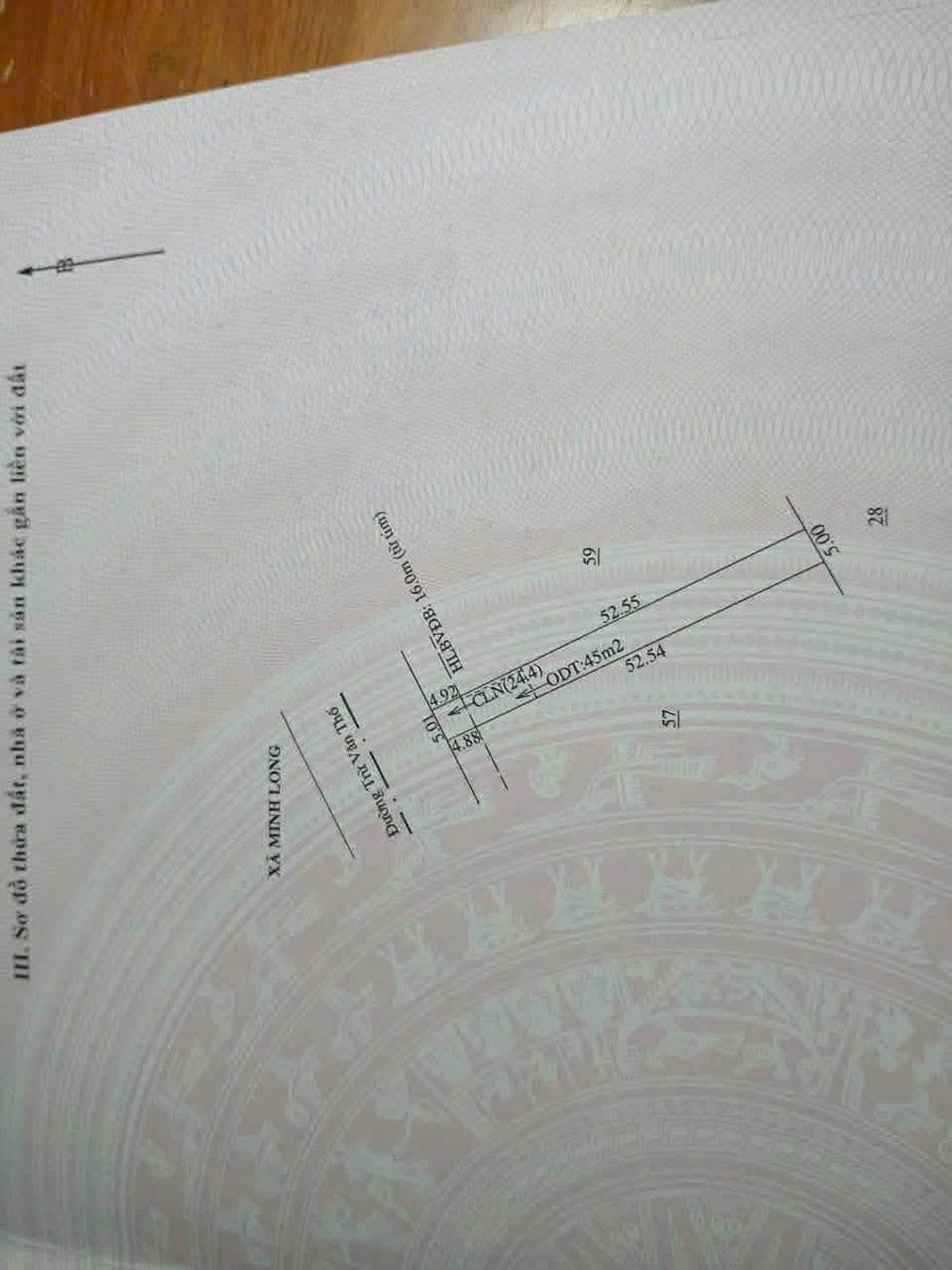 Bán đất mặt tiền 5x57m đường 239 Hồ Chí Minh 790 triệu - Ảnh thu nhỏ 4
