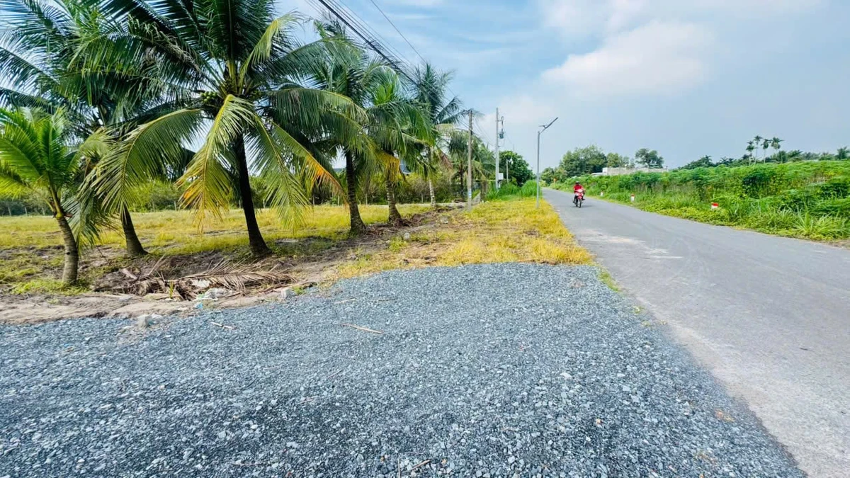 Bán đất tổ cư 65m² Gia Lộc Tây Ninh 5xx triệu - Ảnh thu nhỏ 4
