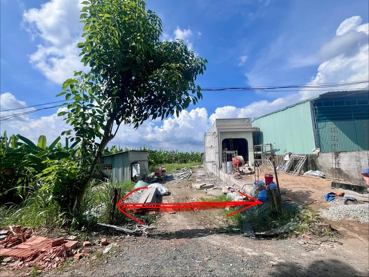 Bán đất mặt tiền Lê Thị Trâm 5x50m Long An 1 tỷ 6 - Ảnh thu nhỏ 2