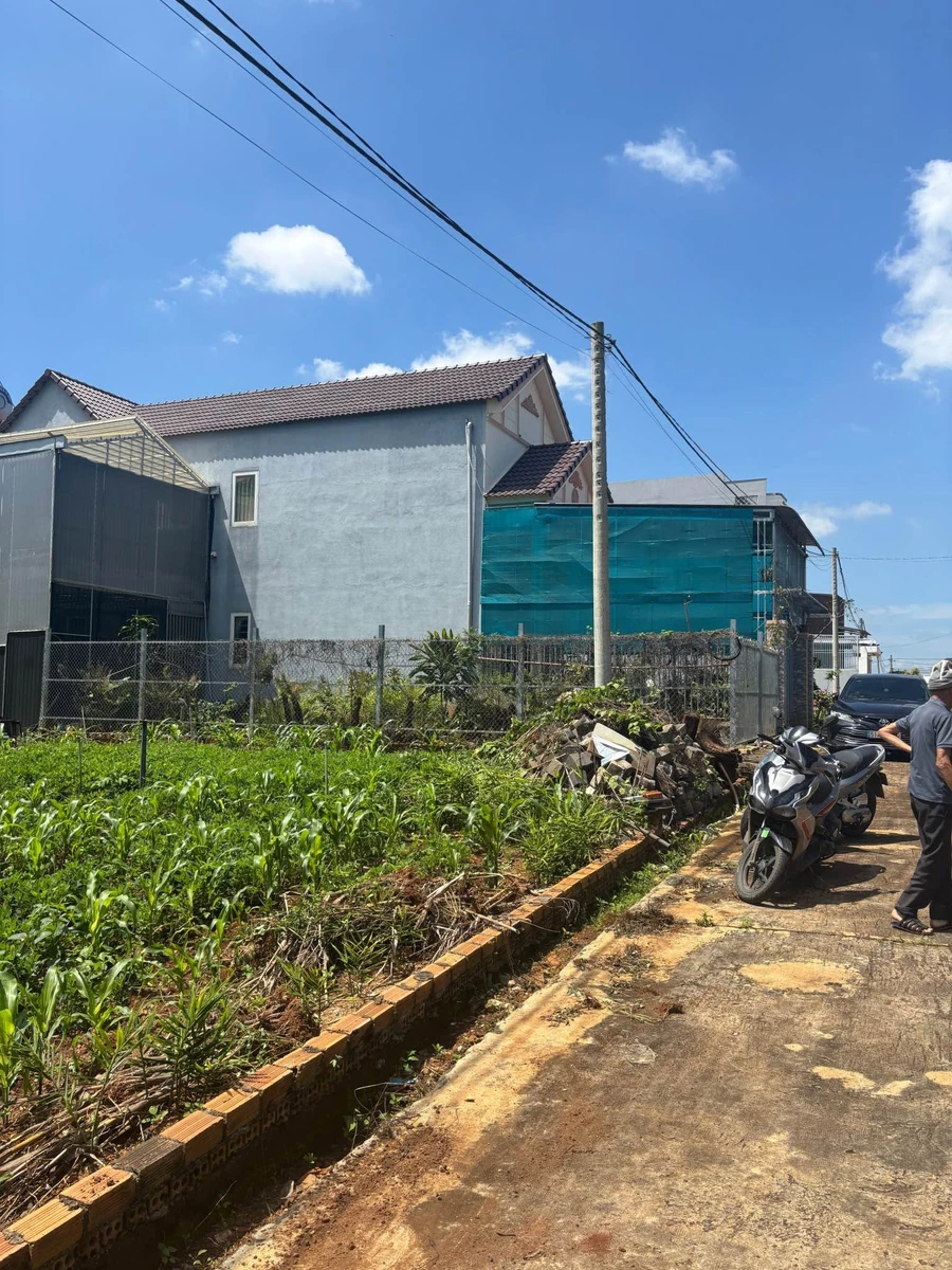 Bán đất Đức Trọng Lâm Đồng 200m2 SHR - Ảnh thu nhỏ 4