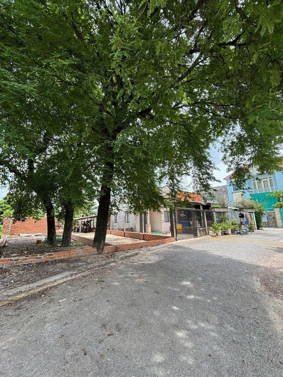 Bán đất Hóc Môn 100m², mặt tiền 8m, 2 tỷ 850 - Ảnh thu nhỏ 3