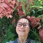 Bán nhà hẻm xe hơi Phan Đăng Lưu, Phú Nhuận 53m2, 5 tầng 5 phòng ngủ, giá 10,5 tỷ - Ảnh thu nhỏ 1