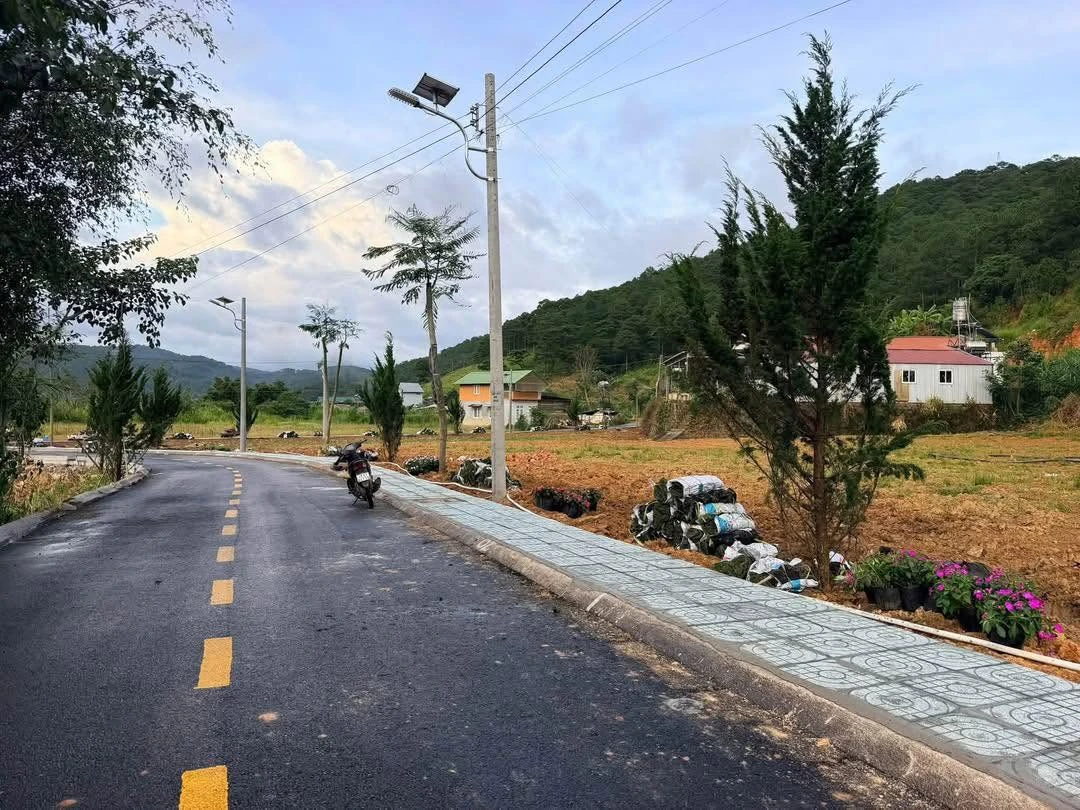 Bán đất nền 100m2 Định An Lâm Đồng 1 tỷ 330 triệu - Ảnh thu nhỏ 2