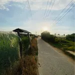 Bán lô đất 500m² Bình Quý Ninh Phước Khánh Hòa 680 triệu - Ảnh thu nhỏ 4