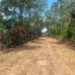 Bán 12.000m² đất trồng cây ở xã Tân Hòa, Đắk Lắk - Ảnh thu nhỏ 1