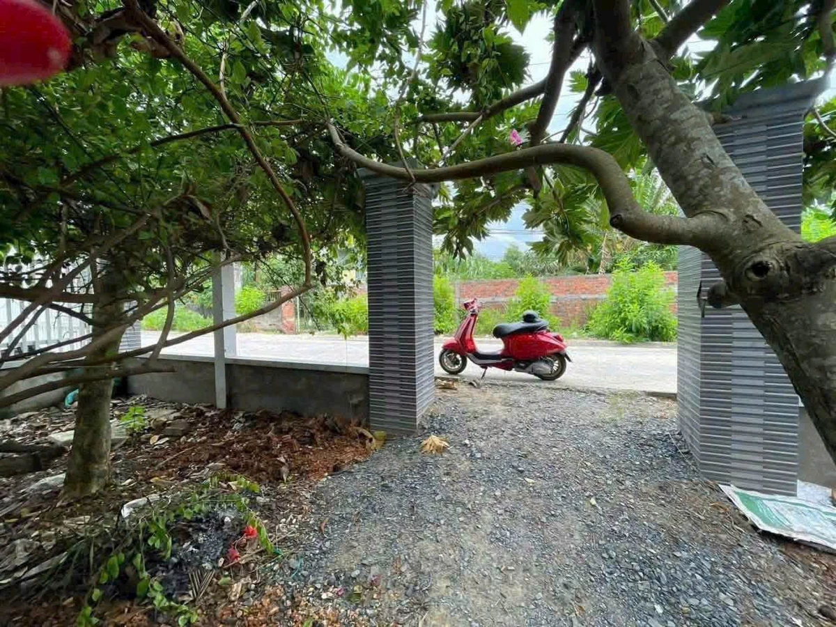 Bán đất công 1091m² Tam Phước Châu Thành Vĩnh Long - Ảnh thu nhỏ 2
