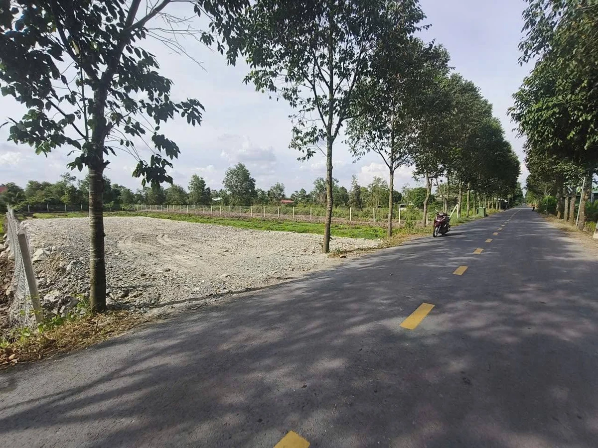 Bán đất mặt tiền 2900m² Bến Lức Long An - Ảnh thu nhỏ 4