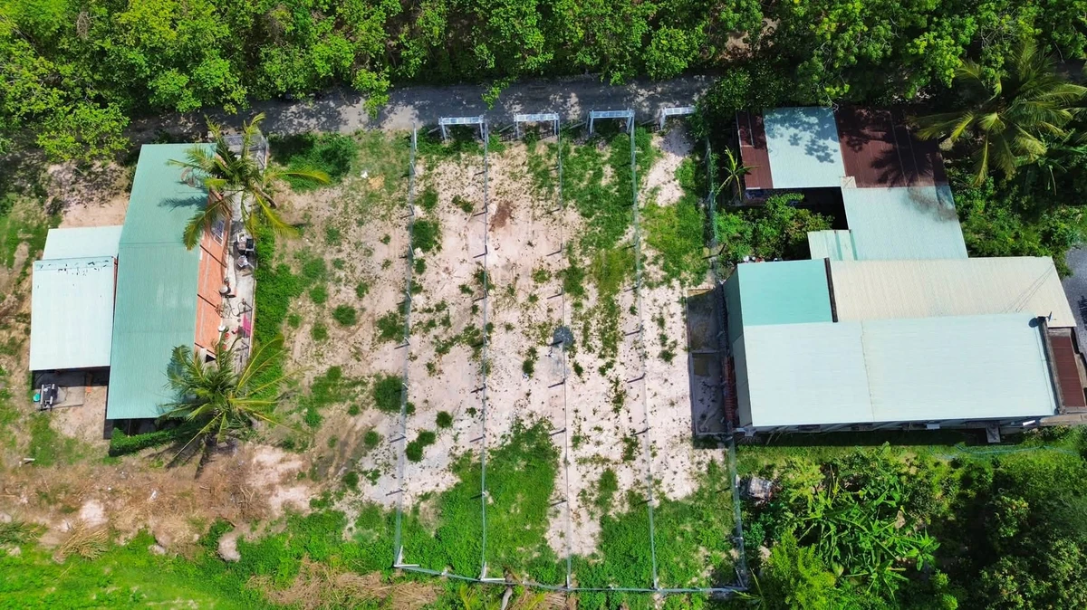 Bán 4 lô đất Giồng Cà, Bình Minh, 140m2, 199 triệu - Ảnh thu nhỏ 3