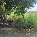 Bán đất thổ cư 80m2 Thủy Đông Thạnh Hóa Long An - Ảnh thu nhỏ 2