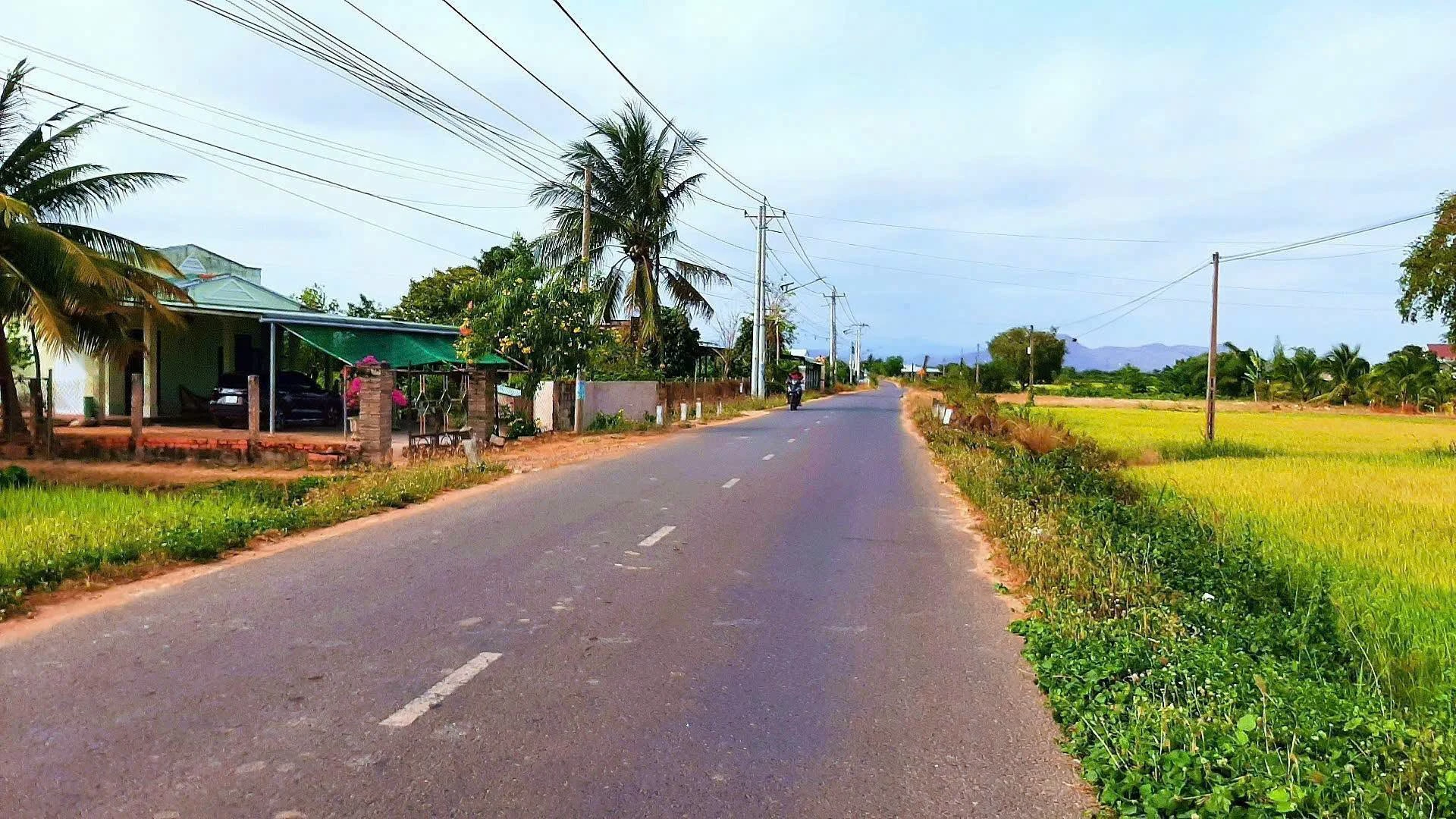 Bán đất mặt tiền Thuận Minh Lâm Đồng 140-160m2 - Ảnh 1