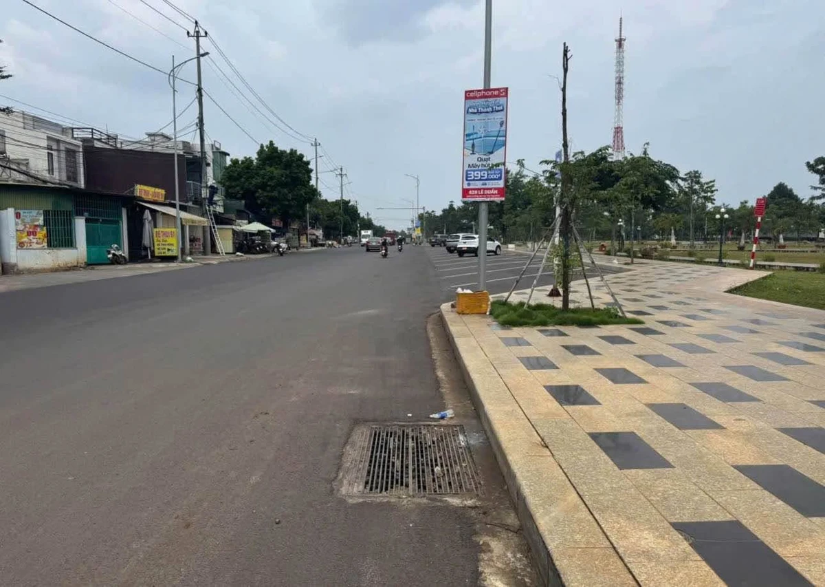 Đất bán 8x37m (296m²) hẻm Phan Huy Chú Bình Tân 3,5 tỷ - Ảnh thu nhỏ 3