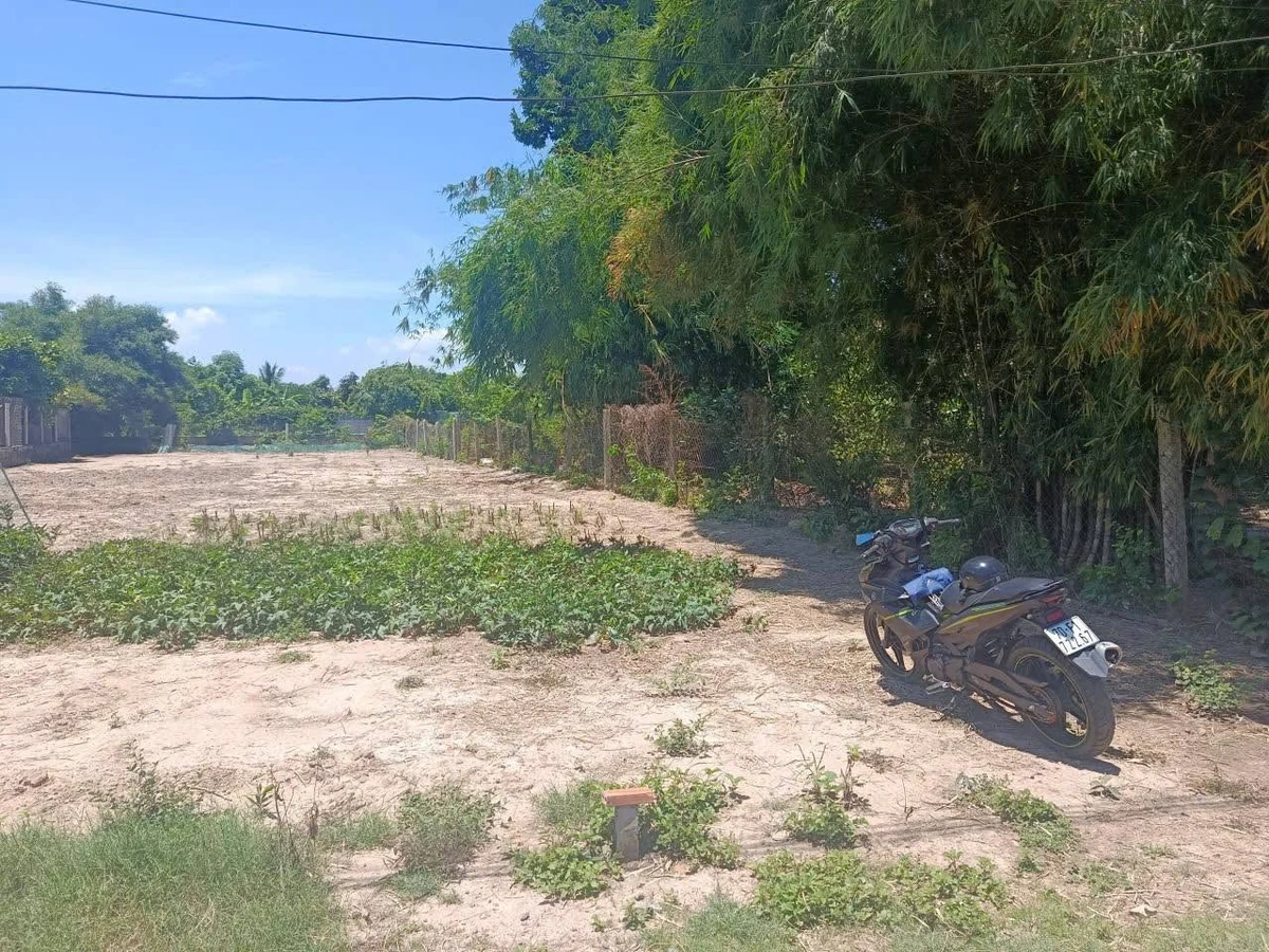 Bán đất 250m² Gò Dầu Tây Ninh gần bệnh viện - Ảnh thu nhỏ 3