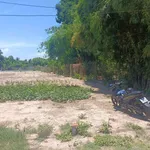 Bán đất 250m² Gò Dầu Tây Ninh gần bệnh viện - Ảnh thu nhỏ 3