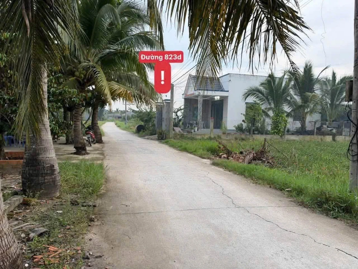 Bán đất 5x26 (130m²) 850 triệu Đức Hoà, Long An - Ảnh thu nhỏ 2