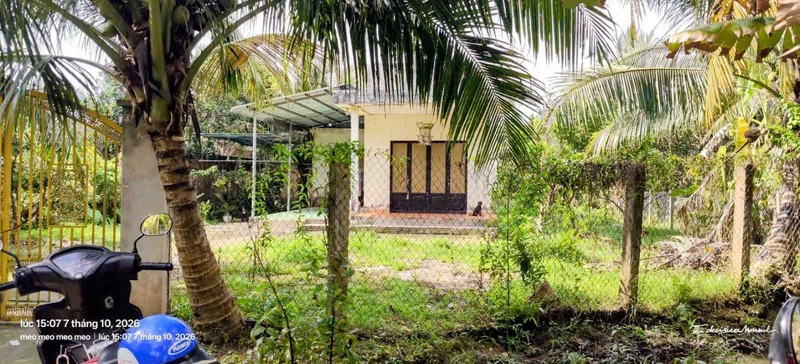Bán nhà và đất 1000m2 tại Xã Tân Thạch, Tiền Giang 750 triệu