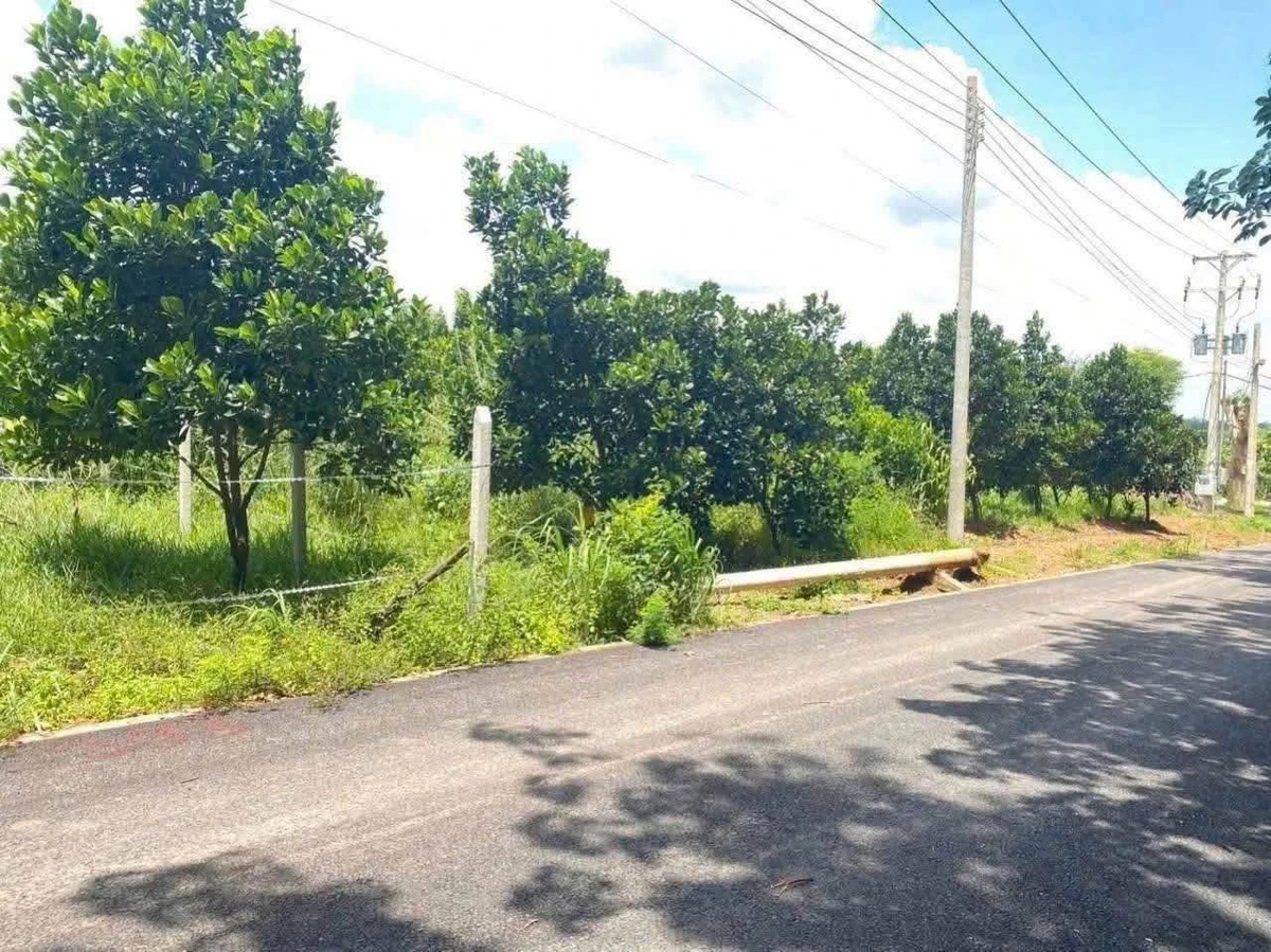 Bán đất 500m2 có 200m thổ cư ở Phú Giáo, Bình Dương - Ảnh thu nhỏ 2