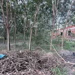 Bán đất Tân Bình 185m² giá 1 tỷ 5 - Ảnh thu nhỏ 1
