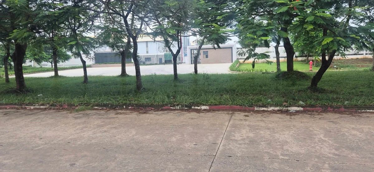 Bán đất 5x20m đường Hàng Phượng 1,25 tỷ - Ảnh thu nhỏ 3