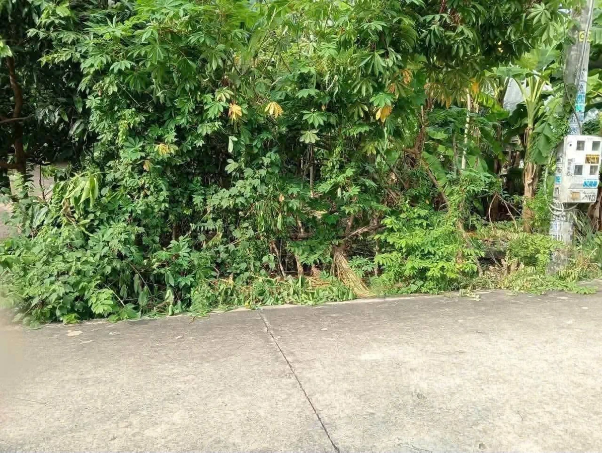 Bán đất thổ cư 100m2 đường nhánh Bà 39, Phú An giá 1,45 tỷ - Ảnh thu nhỏ 5